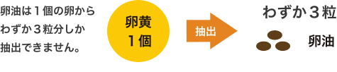 卵油は１個の卵から わずか３粒分しか 抽出できません。