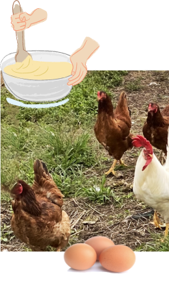 比内地鶏と卵